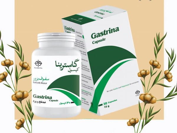 تصویر 1 از خرید کپسول گاسترینا فراطب + قیمت فروش استثنایی